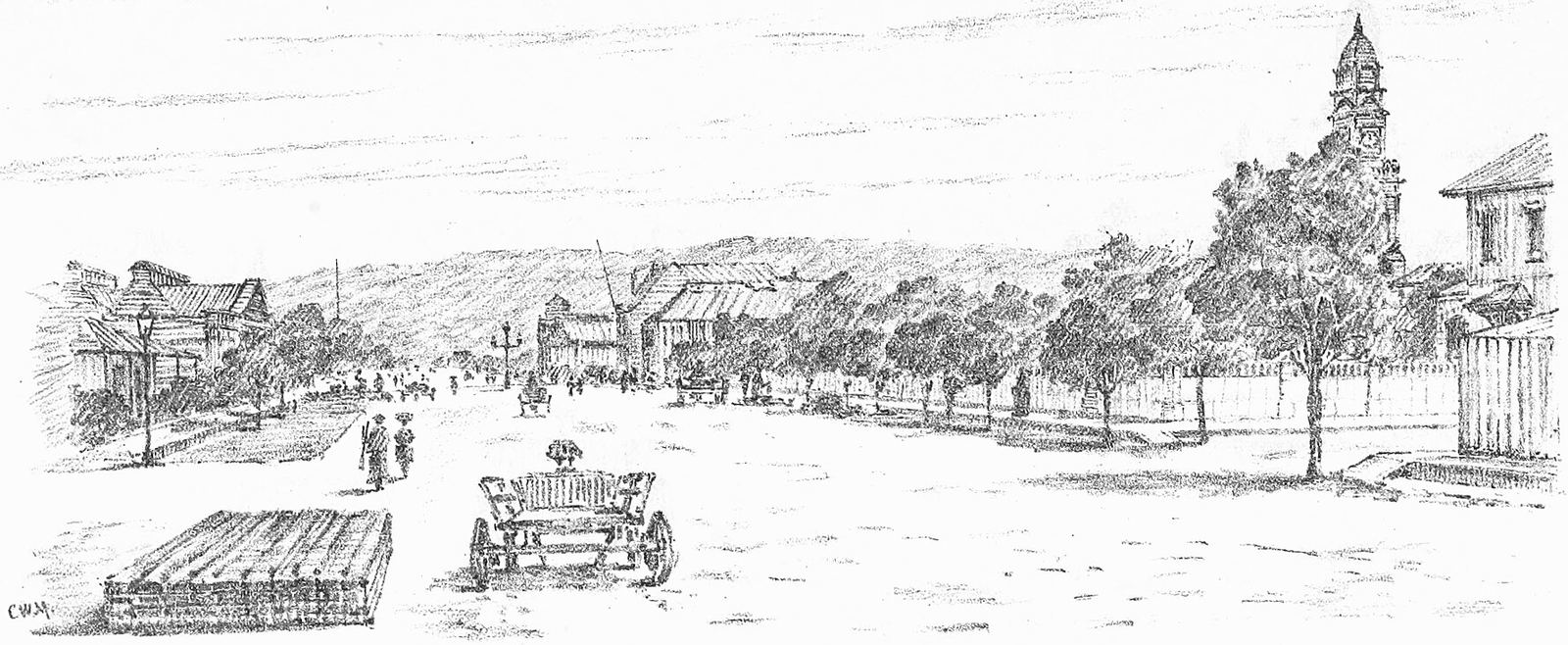 Engraving of a wide, tree-lined Smith Street in central Durban, 1891